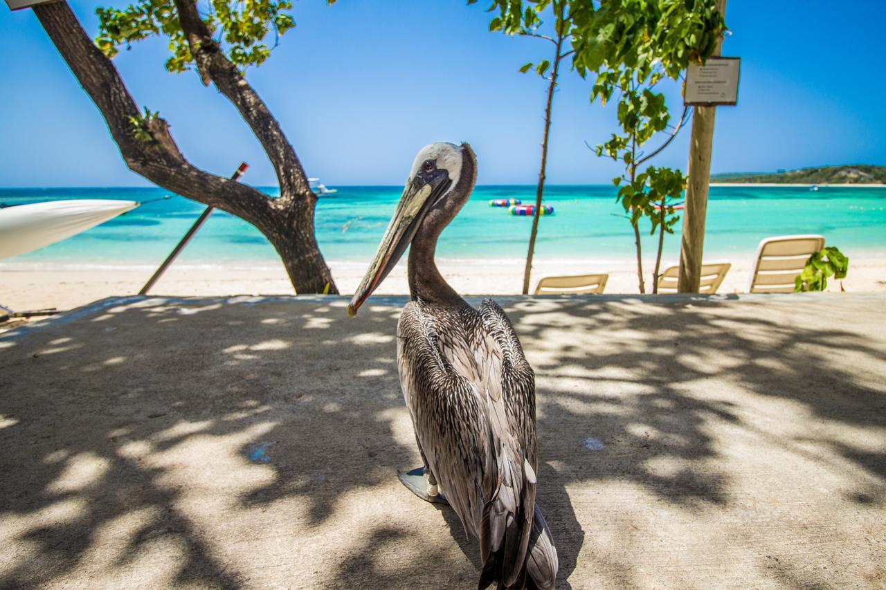 Paradise Island Beach Resort Punta Rucia Exterior foto